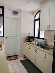 Tanglin Park (D10), Condominium #589351401